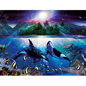 Ravensburger (16661) - "Graceful Killer Whales" - 2000 brikker puslespil