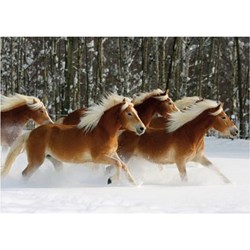 D-Toys (65933-HH04) - "Horses Magic, Haflinger IV" - 239 brikker puslespil