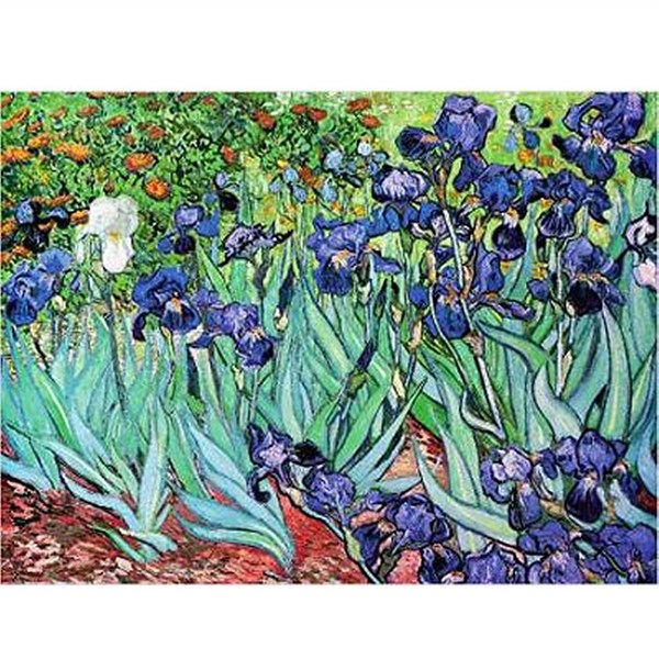 D-Toys (66916-VG03) - Vincent van Gogh: "Irises" - 1000 brikker puslespil