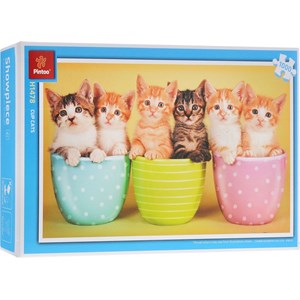 Pintoo (H1478) - "Cup cats" - 1000 brikker puslespil