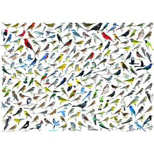 Eurographics (6000-0821) - "The World of Birds" - 1000 brikker puslespil