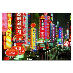 Educa (15160) - "Urban landscape, Tokyo" - 1000 brikker puslespil