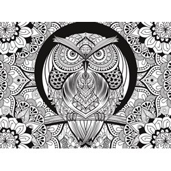 Clementoni (35050) - "Ugle, farvelæg selv" - 500 brikker puslespil