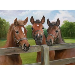 Ravensburger (14566) - "Ponies" - 500 brikker puslespil