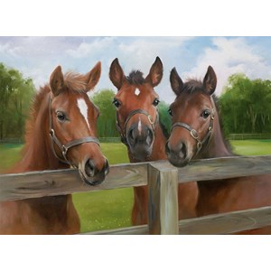 Ravensburger (14566) - "Ponies" - 500 brikker puslespil