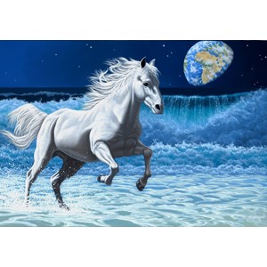 Grafika (02582) - Schim Schimmel: "Wave Runner" - 1000 brikker puslespil