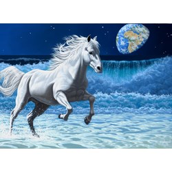 Grafika (02583) - Schim Schimmel: "Wave Runner" - 300 brikker puslespil