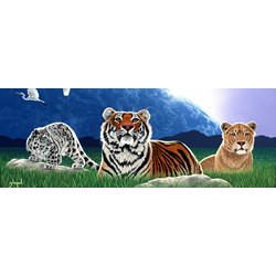 Grafika (02602) - Schim Schimmel, William Schimmel: "Shared World" - 2000 brikker puslespil