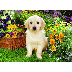 Trefl (371604) - Greg Cuddiford: "Labrador Puppy in the Garden" - 500 brikker puslespil
