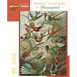 Pomegranate (JK053) - Ernst Haeckel: "Hummingbirds" - 300 brikker puslespil