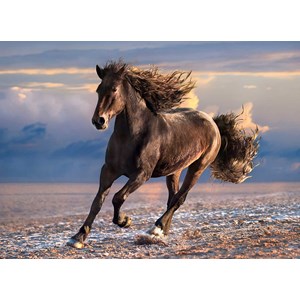 Clementoni (39420) - "Horse in Freedom" - 1000 brikker puslespil