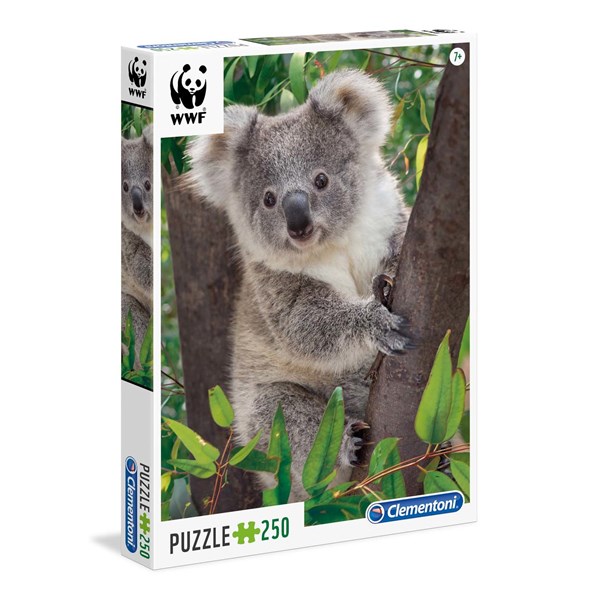 Clementoni (29054) - "Baby Koala" - 250 brikker puslespil