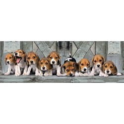 Clementoni (39435) - "Beagles" - 1000 brikker puslespil