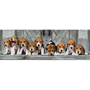 Clementoni (39435) - "Beagles" - 1000 brikker puslespil