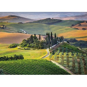 Clementoni (39456) - "Toskana, Italien" - 1000 brikker puslespil