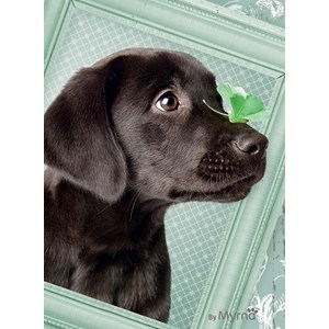 Ravensburger (14194) - "Lucky Puppy" - 500 brikker puslespil