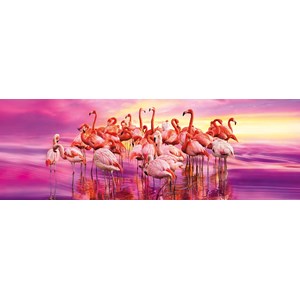 Clementoni (39427) - "Flamingos dans" - 1000 brikker puslespil