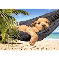 Castorland (B-51144) - "Leisure Time" - 500 brikker puslespil