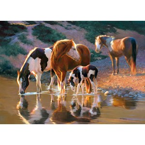 Castorland (B-52097) - "Night Cap" - 500 brikker puslespil