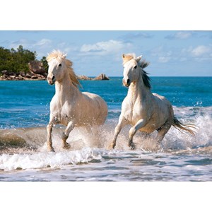 Castorland (C-102433) - "White Camargue Horses" - 1000 brikker puslespil
