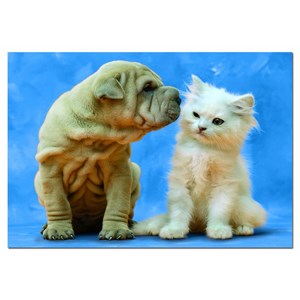 Educa (14806) - "Secrets" - 500 brikker puslespil