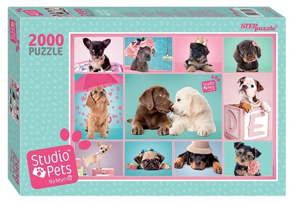 Step Puzzle (84300) - "Studio Pets By Myrna" - 2000 brikker puslespil