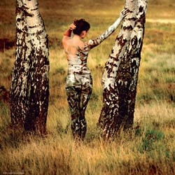 Heye (29424) - "Metamorphose" - 1000 brikker puslespil