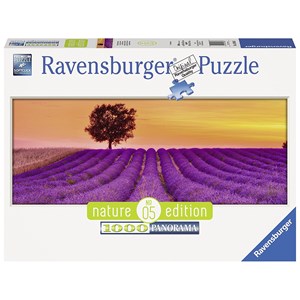 Ravensburger (15068) - "Lavender Fields" - 1000 brikker puslespil