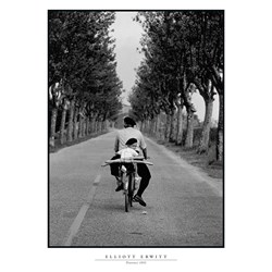 Ravensburger (19140) - Elliott Erwitt: "Provence 1955" - 1000 brikker puslespil