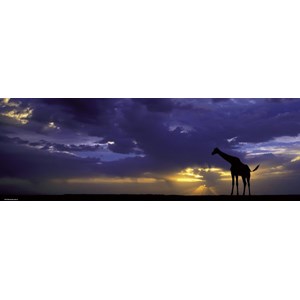 Heye (29471) - Alexander von Humboldt: "De første stråler" - 1000 brikker puslespil