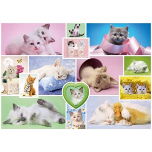 Schmidt Spiele (58230) - "Cuddly Cats" - 1000 brikker puslespil