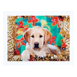 Step Puzzle (98007) - "Puppy" - 300 brikker puslespil