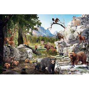 Schmidt Spiele (56239) - "Dyrene i skoven" - 40 brikker puslespil