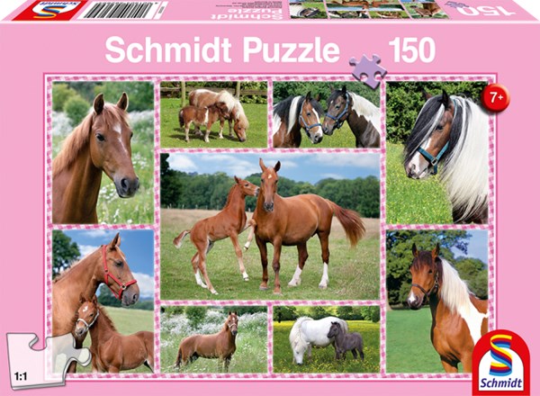 Schmidt Spiele (56269) - "Horse Dreams" - 150 brikker puslespil