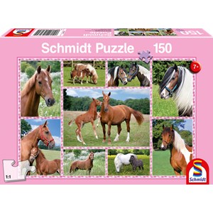 Schmidt Spiele (56269) - "Horse Dreams" - 150 brikker puslespil