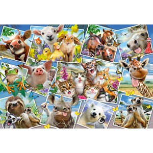 Schmidt Spiele (56294) - "Animal Selfies" - 200 brikker puslespil