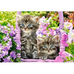 Castorland (C-104086) - "Kitten in Summer Garden" - 1000 brikker puslespil