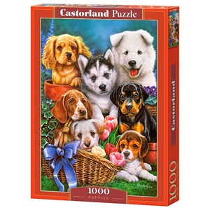 Castorland (C-104048) - "Puppies" - 1000 brikker puslespil