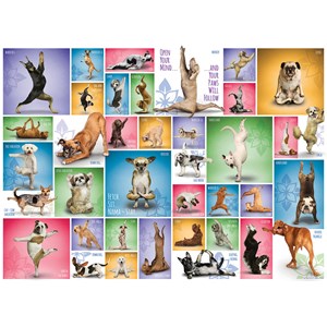 Eurographics (6000-0954) - "Yoga Dogs" - 1000 brikker puslespil