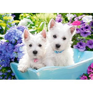 Castorland (B-066100) - "Westie Puppies" - 60 brikker puslespil