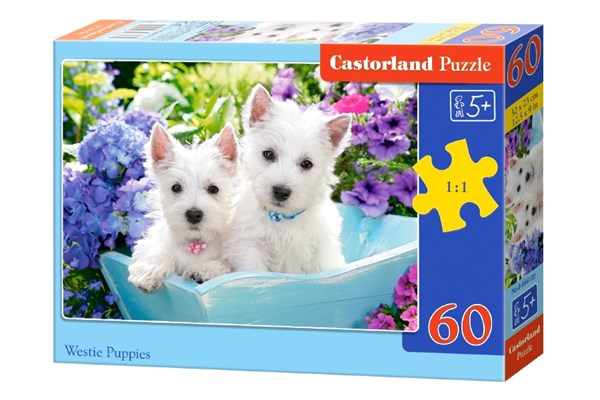 Castorland (B-066100) - "Westie Puppies" - 60 brikker puslespil