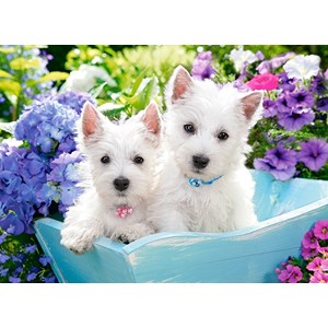 Castorland (B-222032) - "Westie Puppies" - 200 brikker puslespil