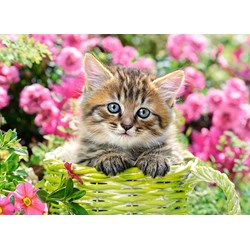 Castorland (B-111039) - "Kitten in Flower Garden" - 100 brikker puslespil
