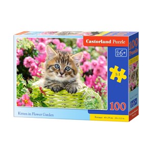 Castorland (B-111039) - "Kitten in Flower Garden" - 100 brikker puslespil
