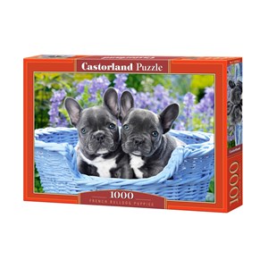 Castorland (C-104246) - "French Bulldog Puppies" - 1000 brikker puslespil