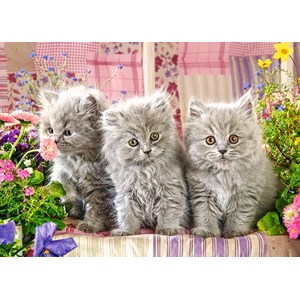 Castorland (B-27491) - "Three Grey Kittens" - 260 brikker puslespil