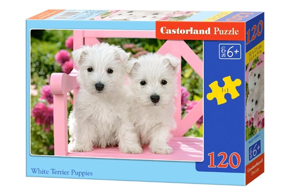 Castorland (B-13494) - "White Terrier Puppies" - 120 brikker puslespil