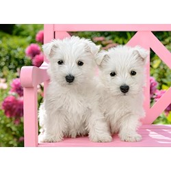 Castorland (B-13494) - "White Terrier Puppies" - 120 brikker puslespil