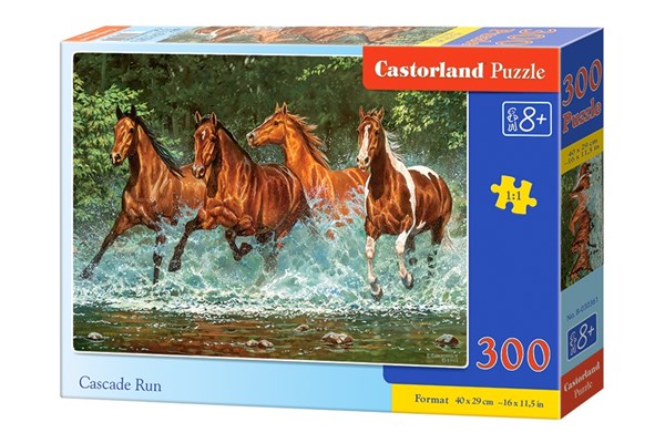 Castorland (B-030361) - "Cascade Run" - 300 brikker puslespil