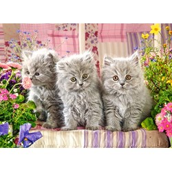 Castorland (B-030330) - "Three Grey Kittens" - 300 brikker puslespil